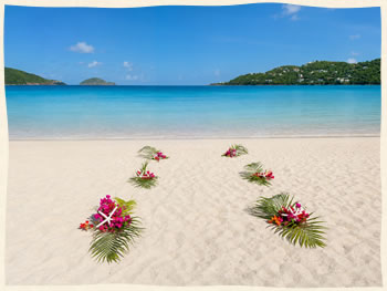 Tropical Decor Beach Wedding Aisle