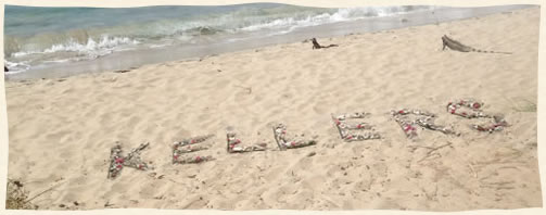 shell name in the sand on Bluebeards Beach in the Virgin Islands