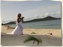 Beautiful bride walking  to her groom at beach wedding.